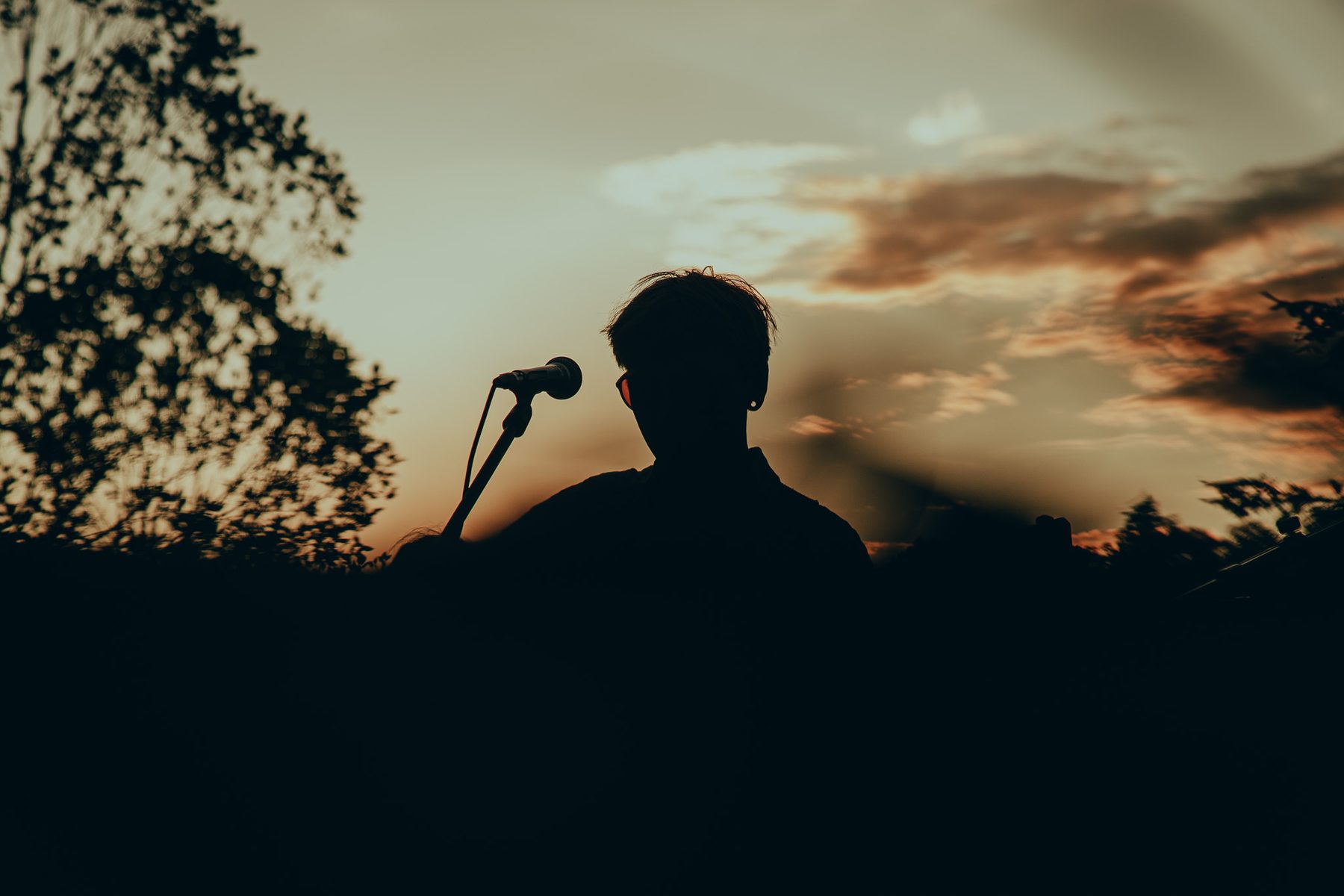 Vocalist in profile